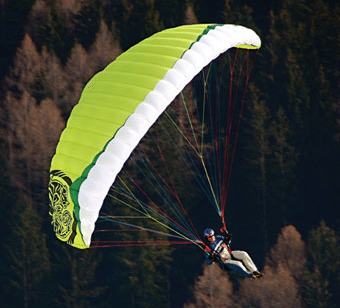 Gin Bobcat Speed Wing