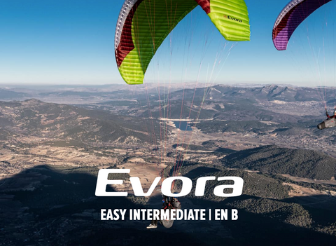 Gin Evora